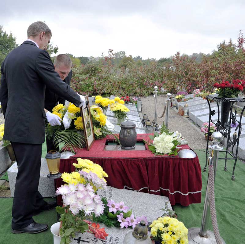 Pomoc w formalnościach